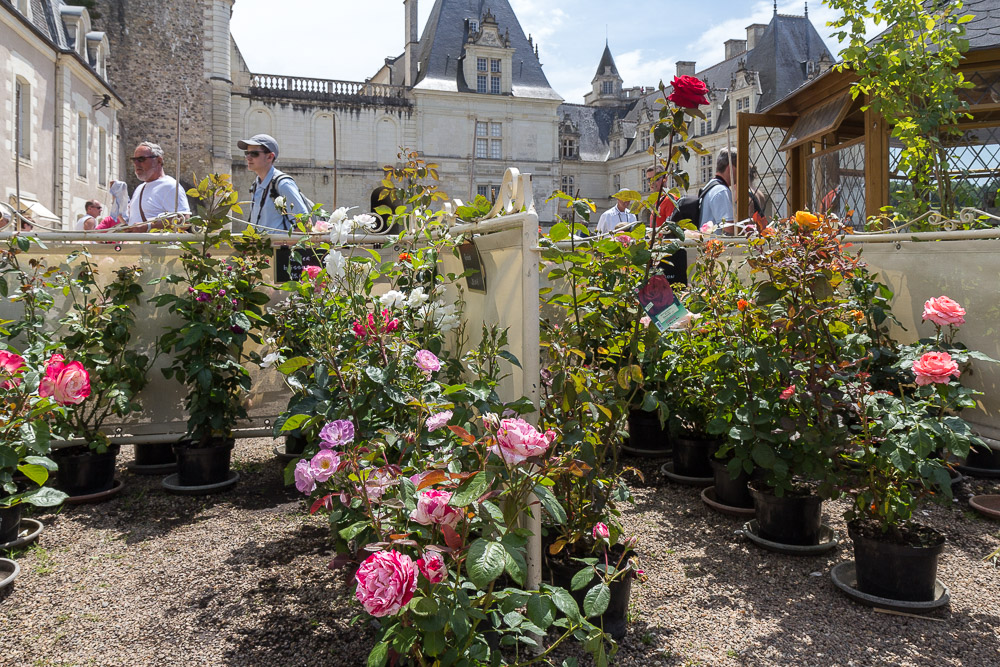 Сады и замок Вилландри (Château de Villandry), Франция © Татьяна Гладченко, 2014