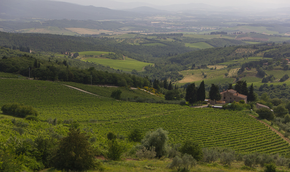 Tuscany 2016 (фотоулов сына) IMG_9228