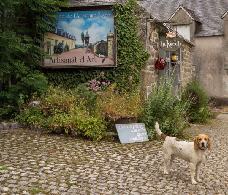 Locronan 2014 © Tatiana Gladchenko
