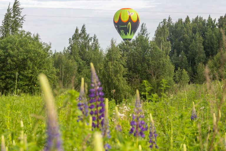 BalloonCupVL 2017 © Tatiana Gladchenko