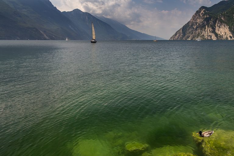 Wallpaper. Landscapes © Tatiana Gladchenko