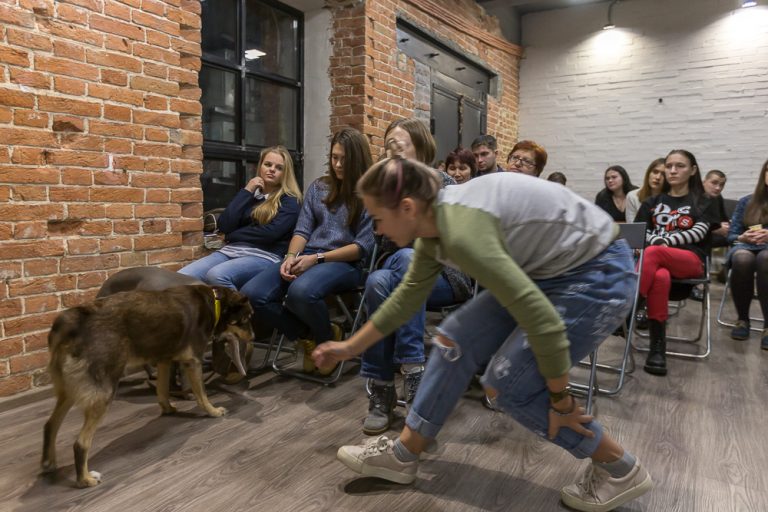 WoW-Dog-Family_meeting © Tatiana Gladchenko