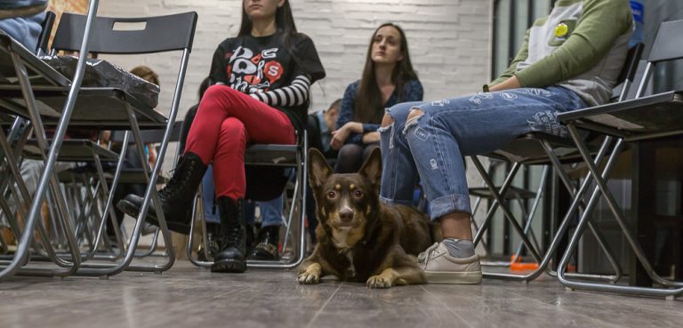 WoW-Dog-Family_meeting © Tatiana Gladchenko