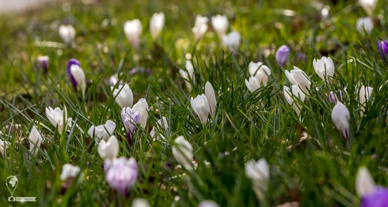 Urk 2018 © Tatiana Gladchenko