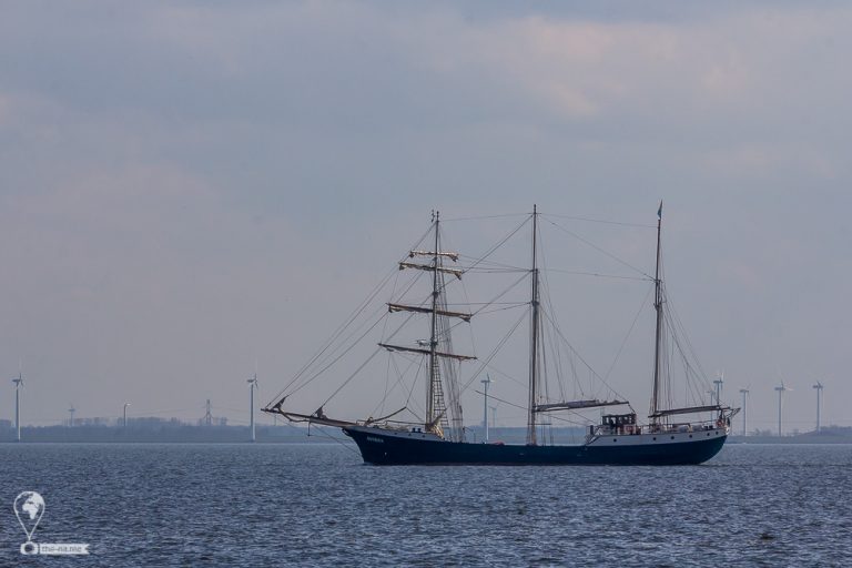 Urk 2018 © Tatiana Gladchenko