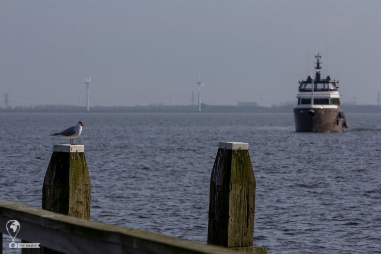Urk 2018 © Tatiana Gladchenko
