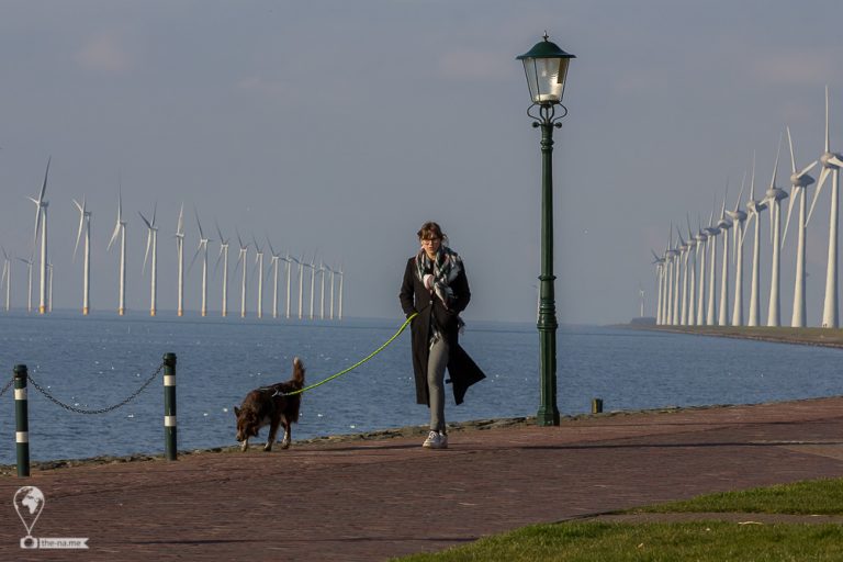 Urk 2018 © Tatiana Gladchenko