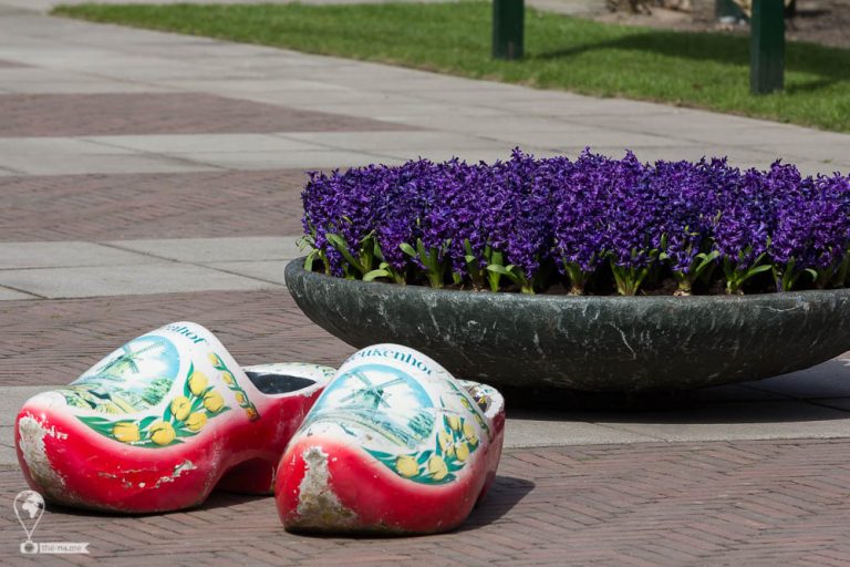 Keukenhof 2018 © Tatiana Gladchenko