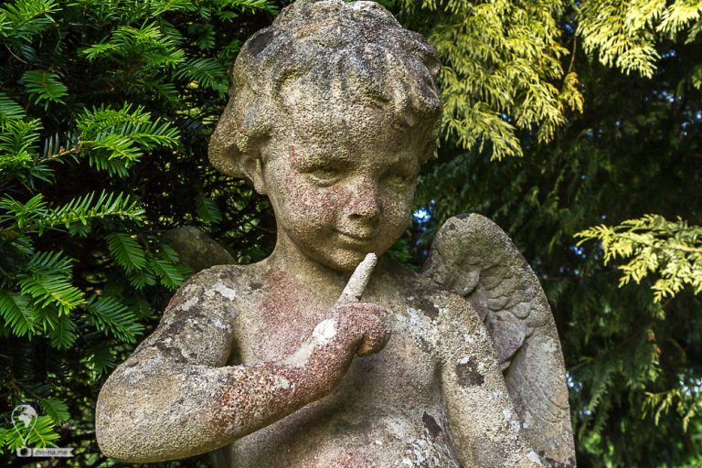 Angel © Tatiana Gladchenko