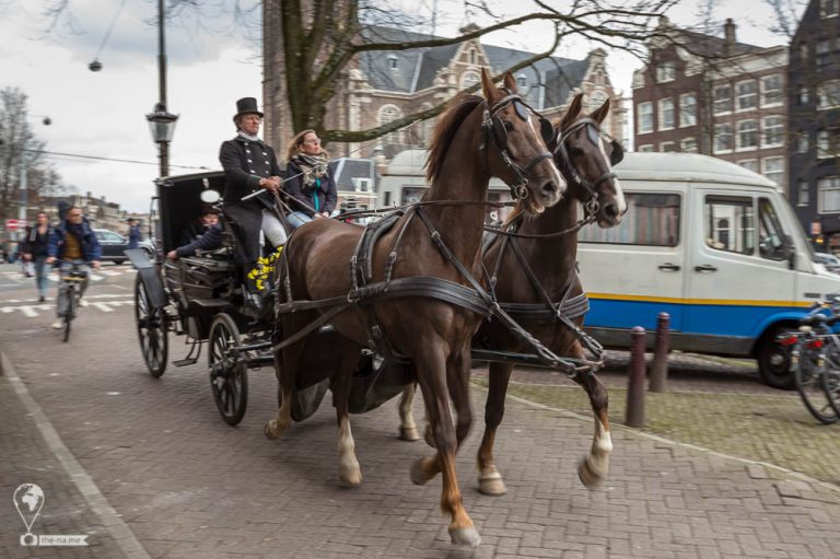 Amsterdam 2018 © Tatiana Gladchenko