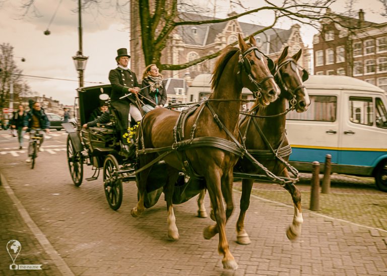 Amsterdam 2018 © Tatiana Gladchenko