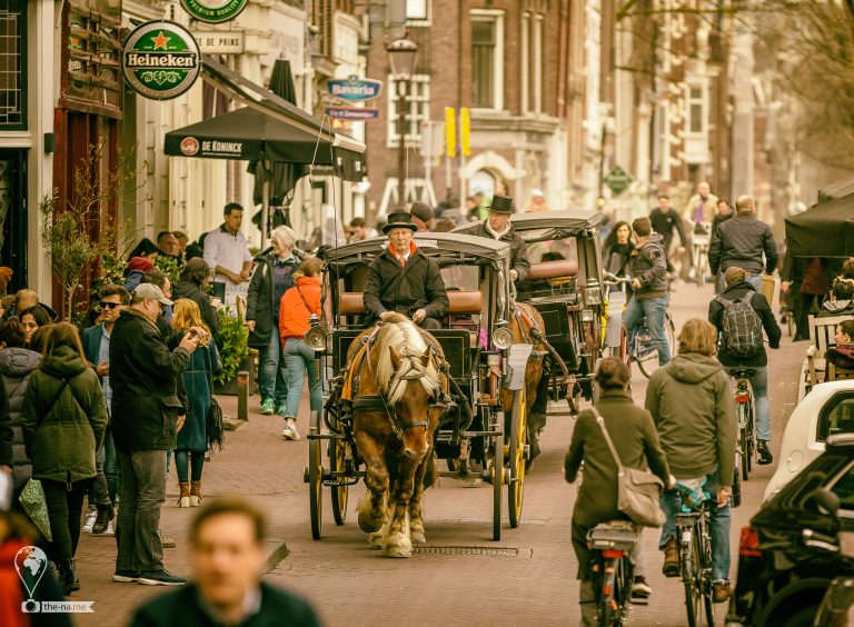 Amsterdam 2018 © Tatiana Gladchenko