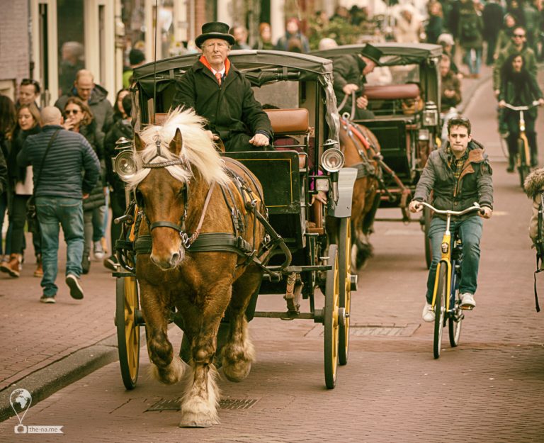 Amsterdam 2018 © Tatiana Gladchenko