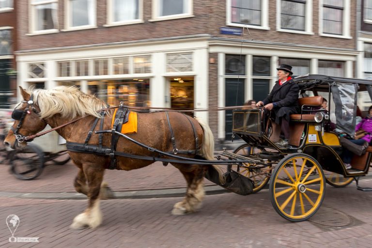 Amsterdam 2018 © Tatiana Gladchenko