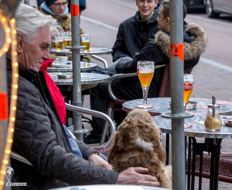 Amsterdam 2018 © Tatiana Gladchenko