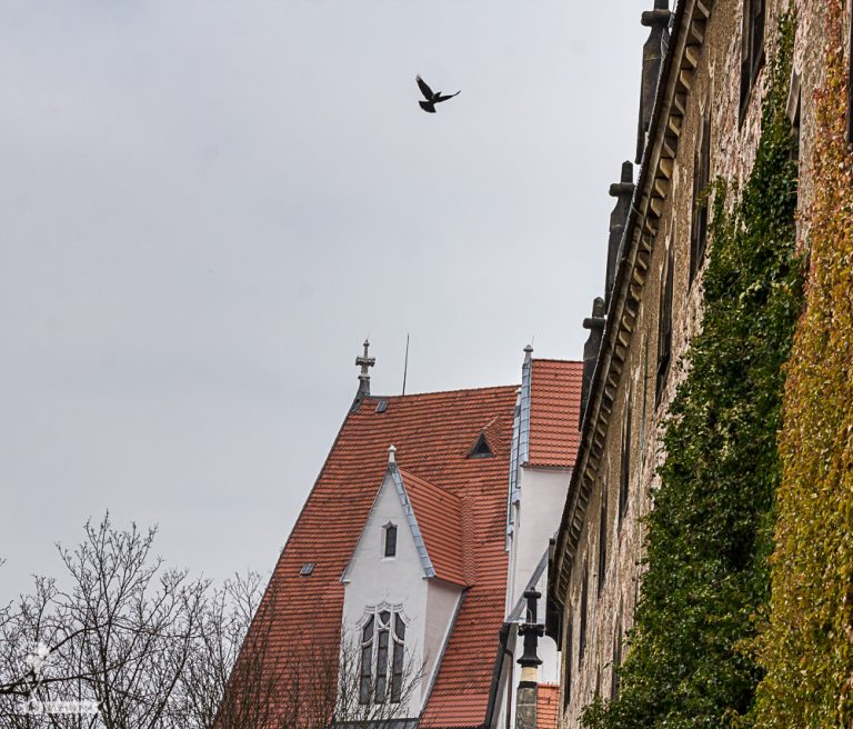 Meißen 2018 © Tatiana Gladchenko