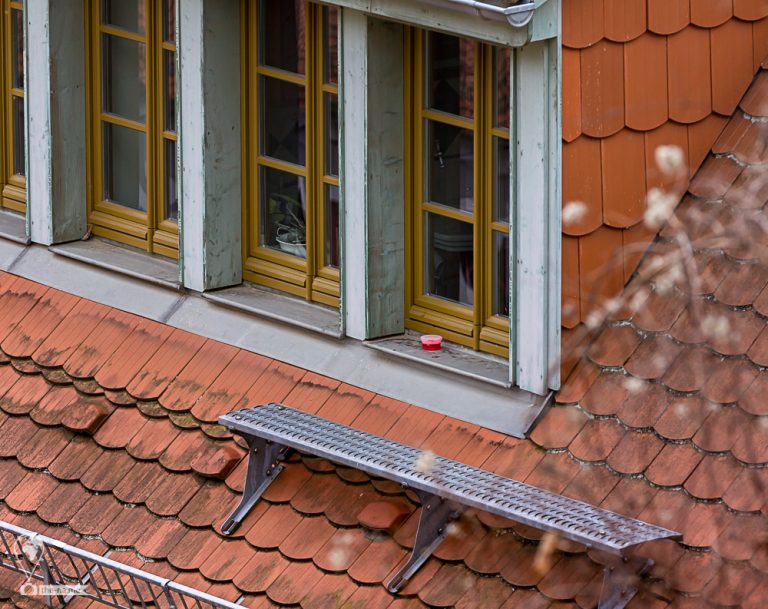 Meißen 2018 © Tatiana Gladchenko