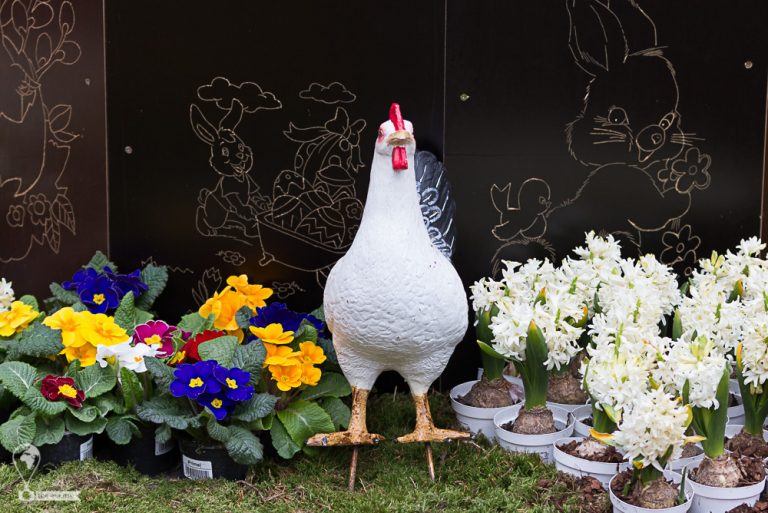 Easter Meissen 2018 © Tatiana Gladchenko