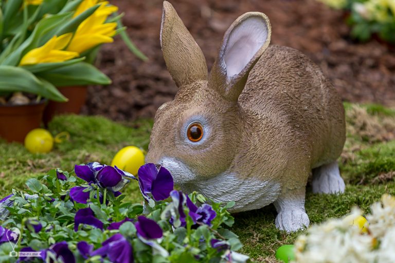 Easter Meissen 2018 © Tatiana Gladchenko