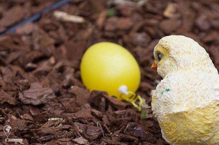 Easter Meissen 2018 © Tatiana Gladchenko