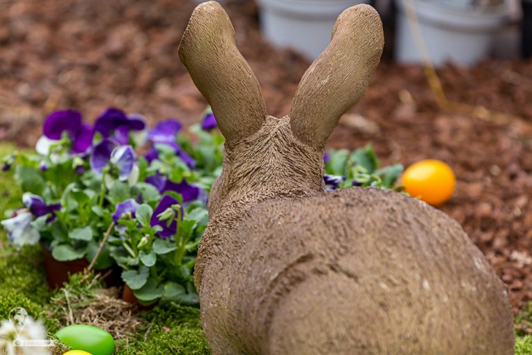 Easter Meissen 2018 © Tatiana Gladchenko
