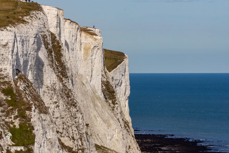 Dover 2018 © Tatiana Gladchenko