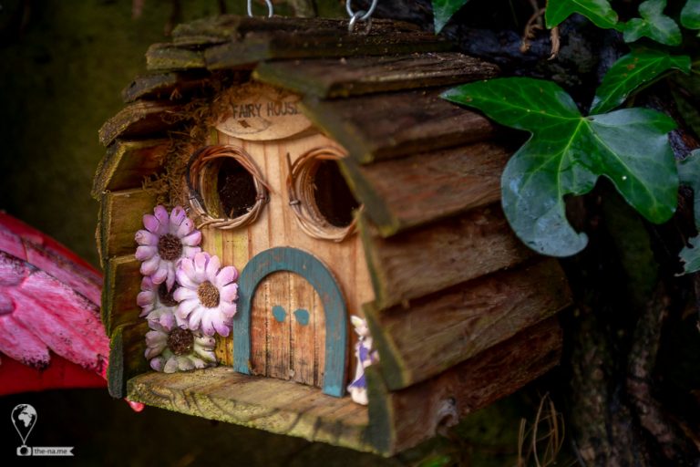 Cork 2018 © Tatiana Gladchenko
