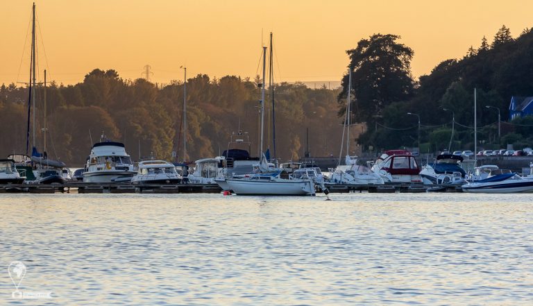 Sunset Cruise 2019 © Tatiana Gladchenko
