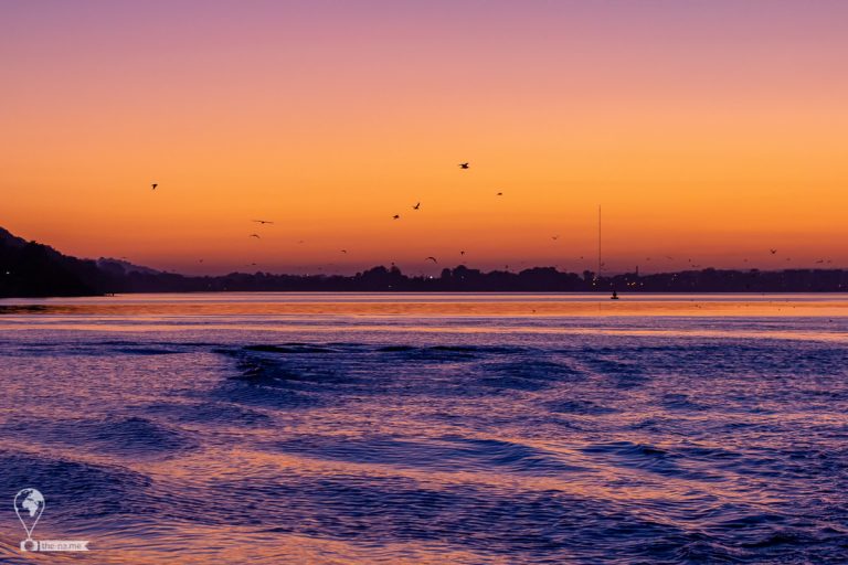 Sunset Cruise 2019 © Tatiana Gladchenko