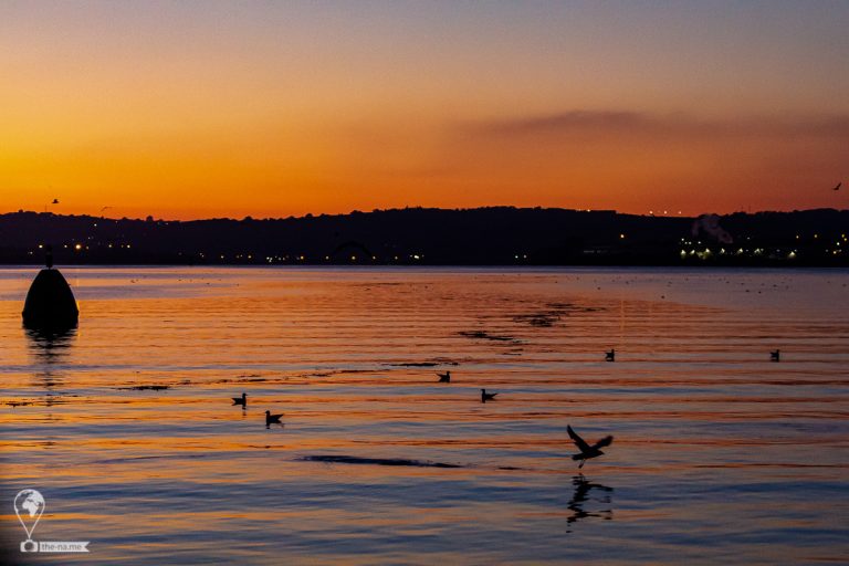 Sunset Cruise 2019 © Tatiana Gladchenko