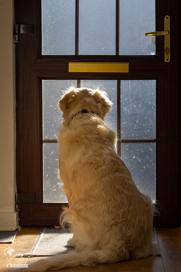 Vasko 2019 © Tatiana Gladchenko