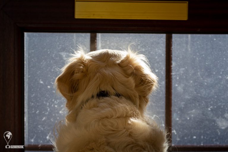 Vasko 2019 © Tatiana Gladchenko