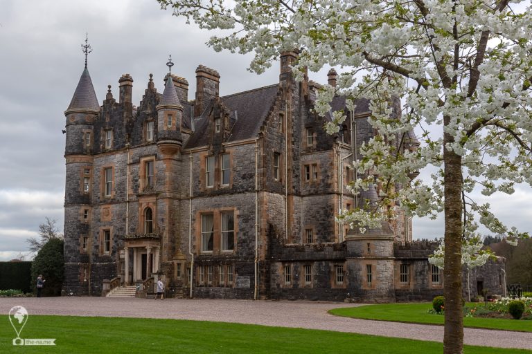Blarney 2019 © Tatiana Gladchenko