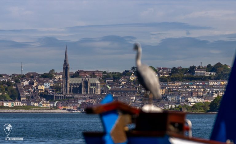 Crosshaven 2021 © Tatiana Gladchenko