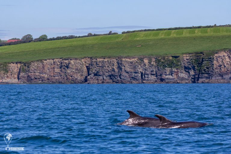 Crosshaven 2021 © Tatiana Gladchenko