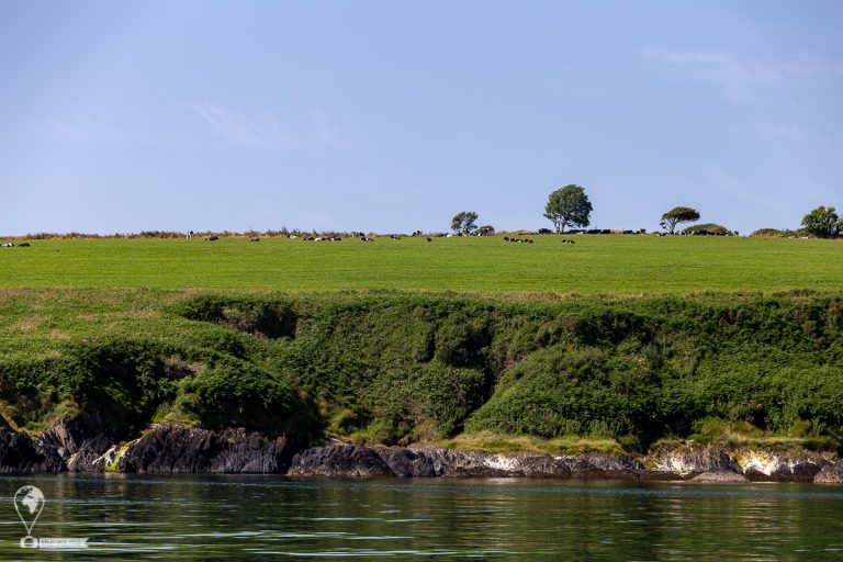 Crosshaven 2021 © Tatiana Gladchenko