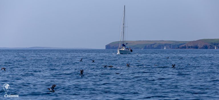 Crosshaven 2021 © Tatiana Gladchenko