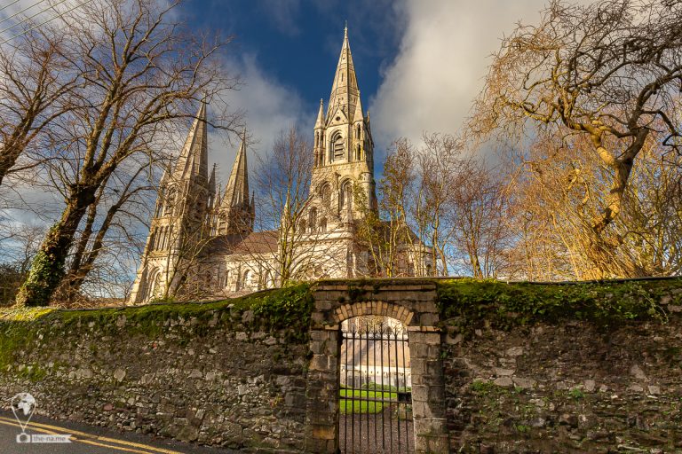 Cork 2021 © Tatiana Gladchenko