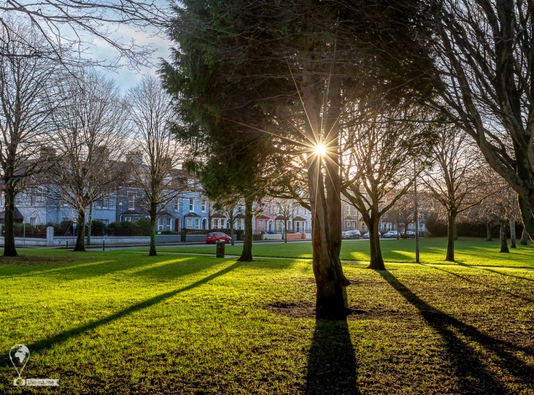 Cork 2021 © Tatiana Gladchenko