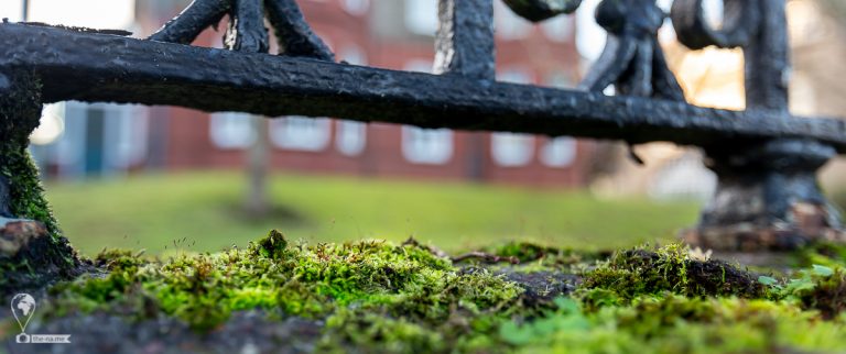 Cork 2021 © Tatiana Gladchenko